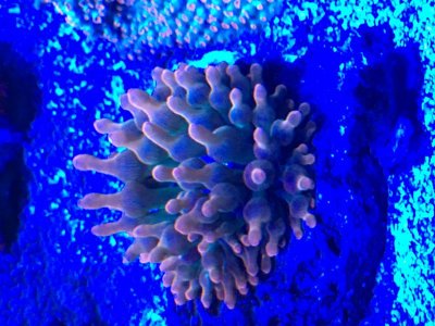IMG_0833.jpg
