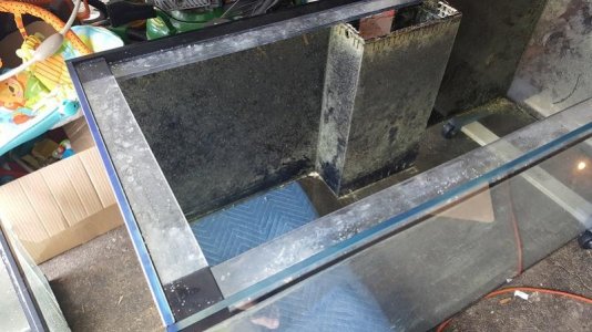 20170820_134943.jpg