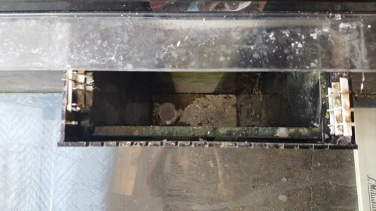 20170820_134952.jpg