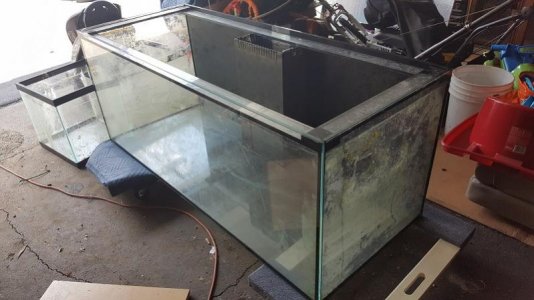 20170820_134959.jpg