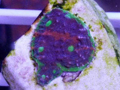 20170630_121145_001- resized.jpg