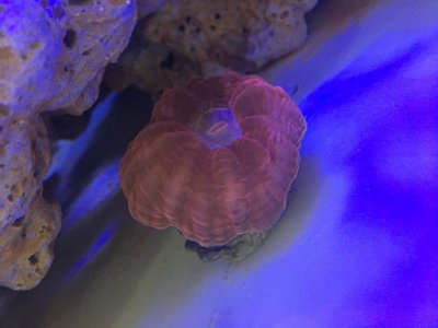 IMG_4360.jpg