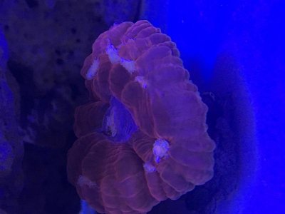 IMG_4390.jpg