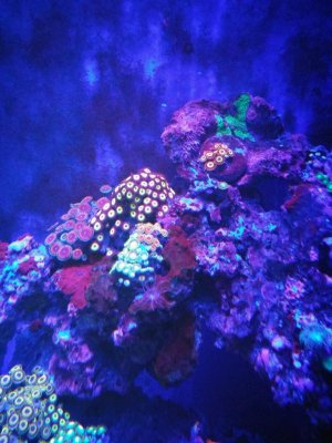 0705172107e.jpg