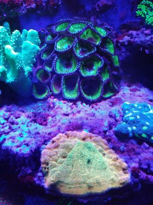 0705172104g.jpg