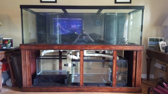 mini-20170701_161647.jpg