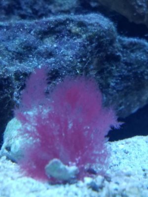 20170710_202202.jpg