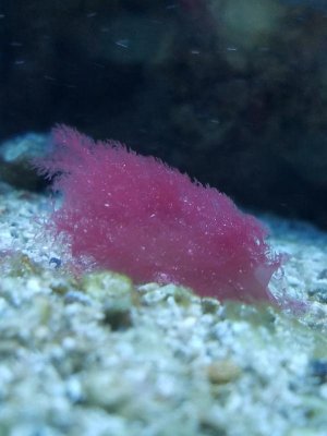 20170710_202226.jpg