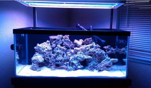 20170822_082616.jpg