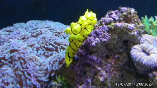 IMG_20170712_140836.jpg