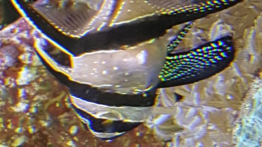 Image00002.jpg Image00002.jpg