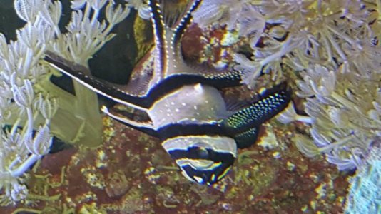 Image00001.jpg Image00001.jpg