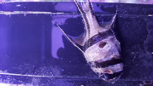 Image00001.jpg Image00001.jpg