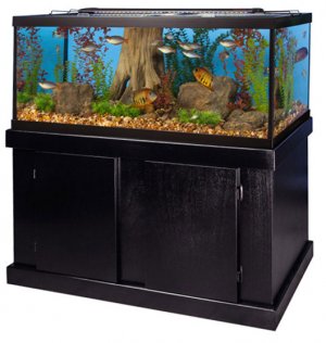 Marineland-75-Gallon-Aquarium.jpg