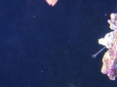 20170714_112507.jpg