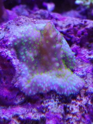 20170827_120628_HDRv2.jpg
