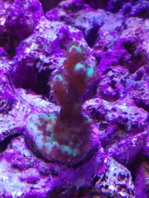 20170827_120633_HDRv2.jpg