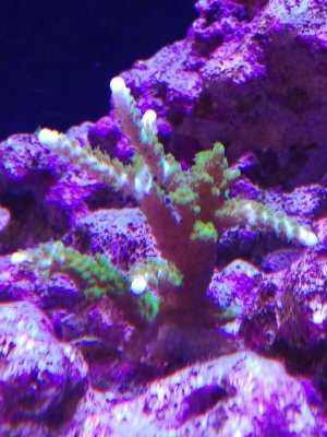 20170827_120639_HDRv2.jpg