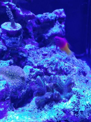 20170827_120729_HDRv2.jpg