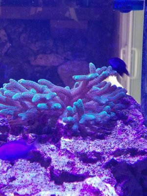 20170827_120743_HDRv2.jpg
