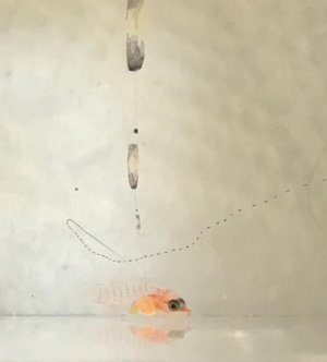 IMG_2017.jpg