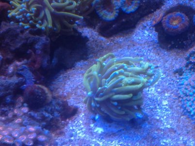IMG_0516.jpg