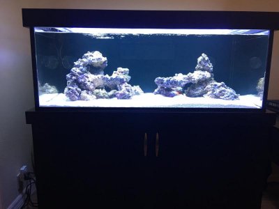 Tank1file-1.jpg