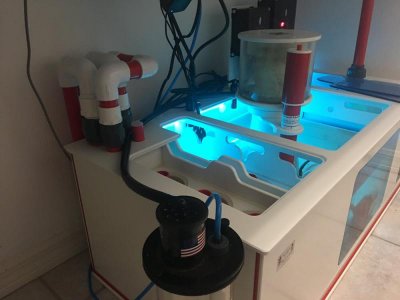 TankSetupJune2017file-4.jpg