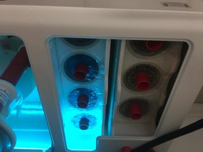 TankSetupJune2017file-12.jpg