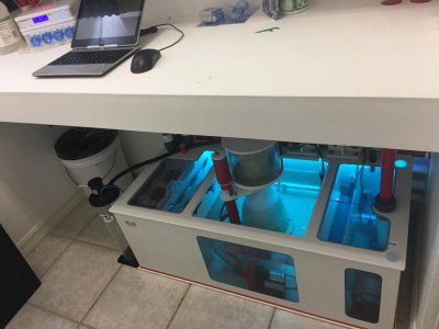 TankSetupJune2017file-1.jpg