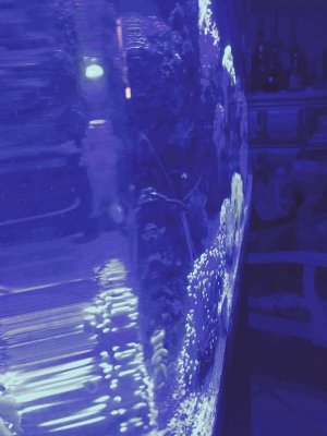 IMG_0978.jpg