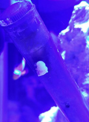 0719171741_HDR-1.jpg