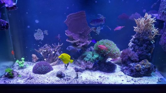 mini-20170720_203927.jpg