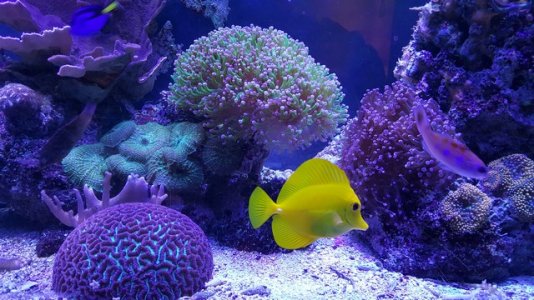 mini-20170719_213411.jpg