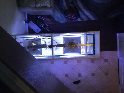 IMG_1001.jpg