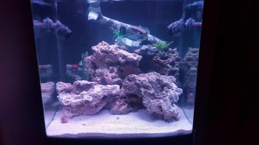 my tank days 5.1.jpg