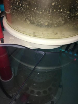 Lids2file-1.jpg