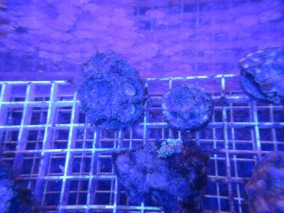 IMG_5377.JPG