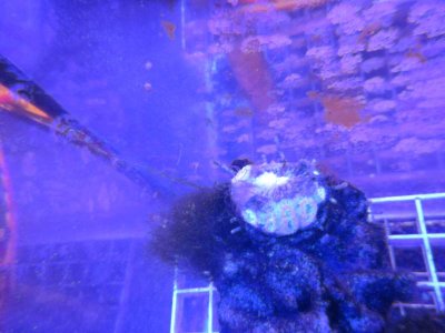 IMG_5379.JPG
