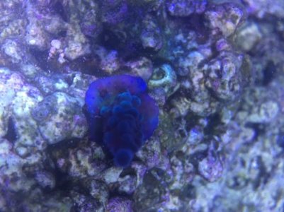 IMG_1826.jpg