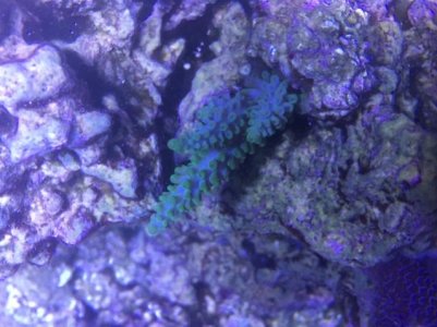 IMG_1838.jpg