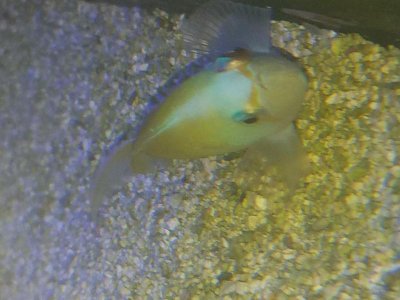 20170723_201334.jpg