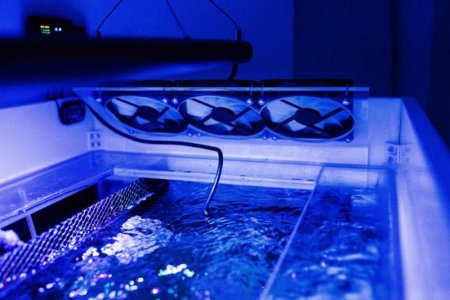 Fish tank cooling system (1 of 6).jpg.jpg