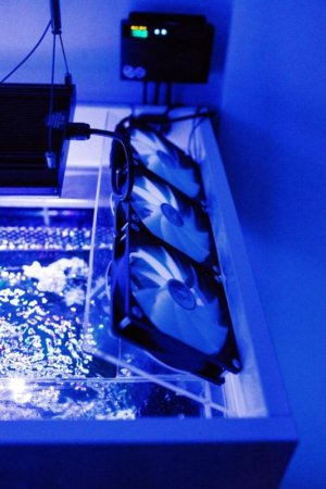 Fish tank cooling system (4 of 6).jpg.jpg