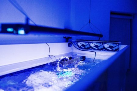 Fish tank cooling system (5 of 6).jpg.jpg
