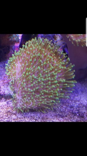 rps20170724_182655.jpg