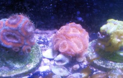 20170905_232045.jpg
