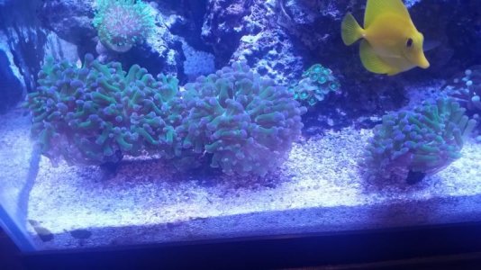 20170726_214429.jpg