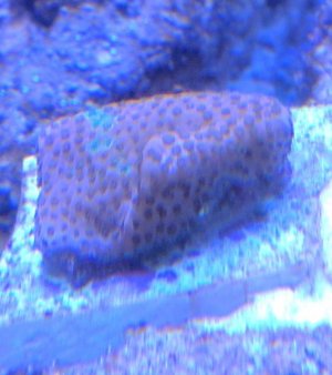 IMG_20170727_172633.jpg