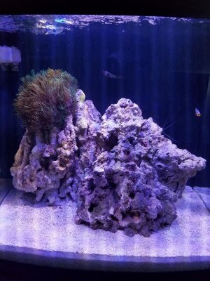20170909_093606.jpg